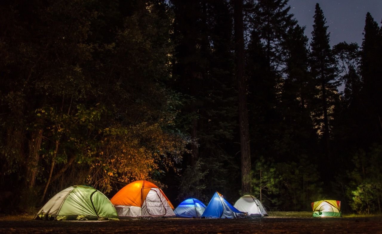 Multiple tents pitched by a forest lit up at night